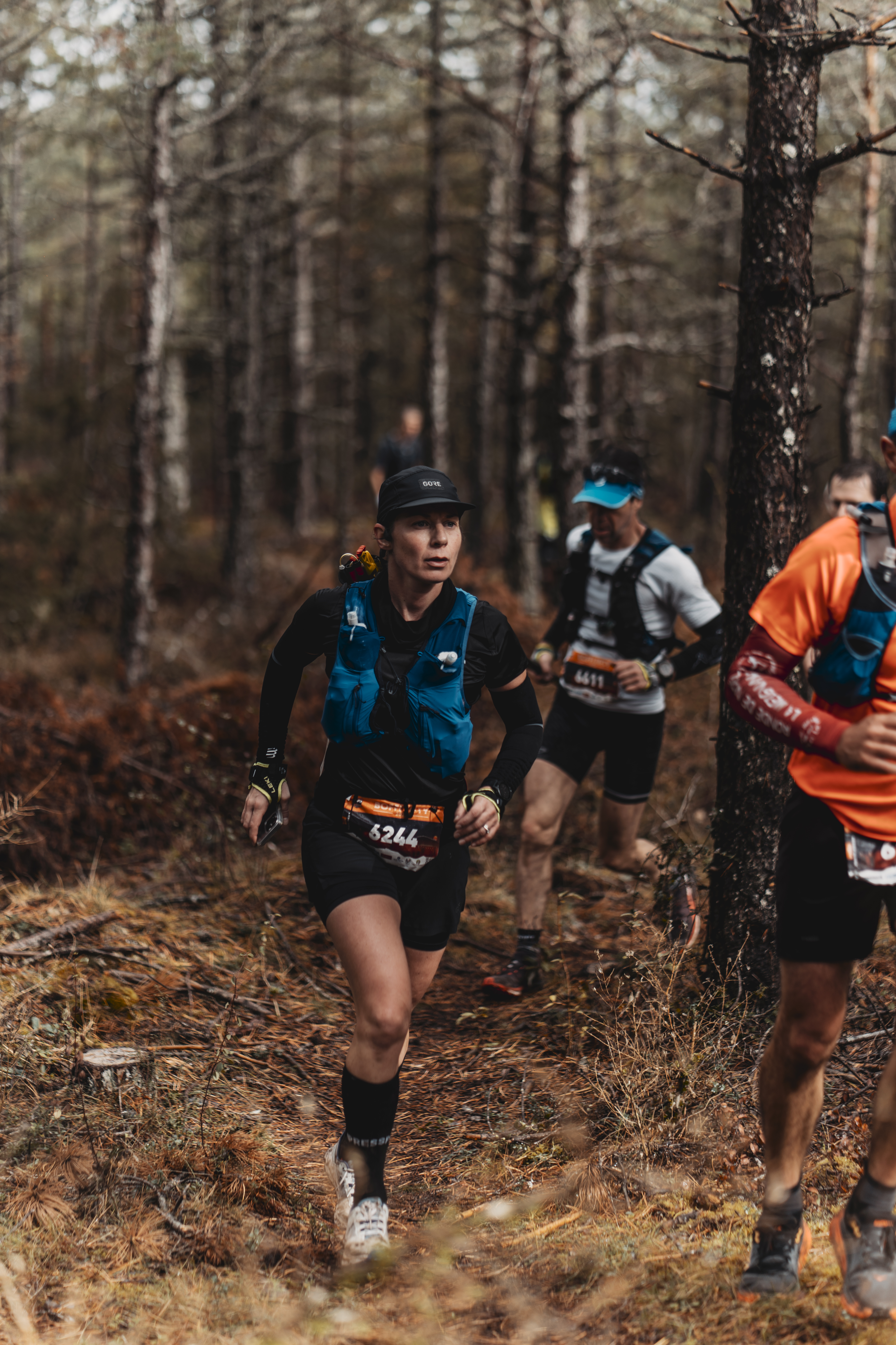Festival des Templiers 2023