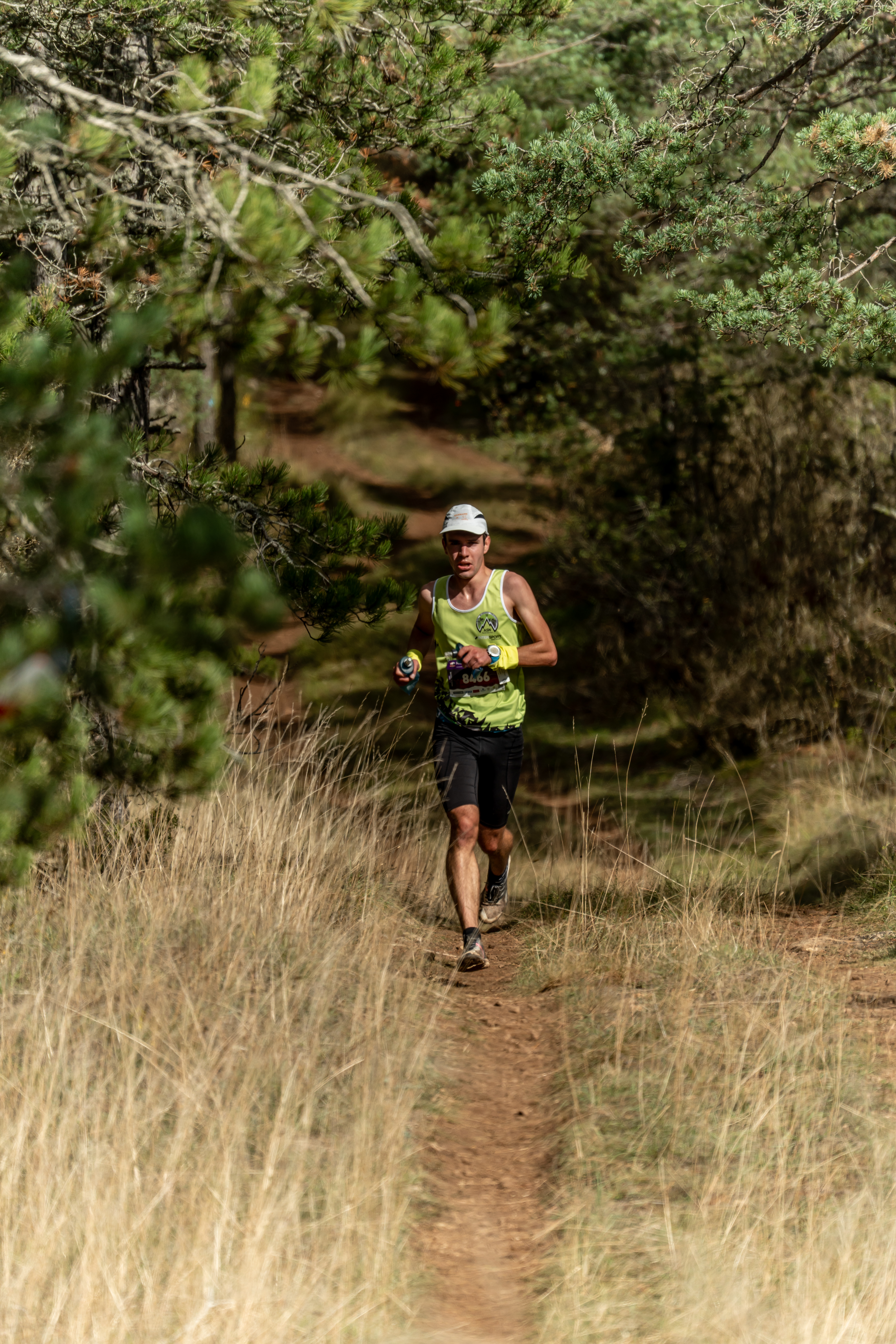 Festival des Templiers 2023