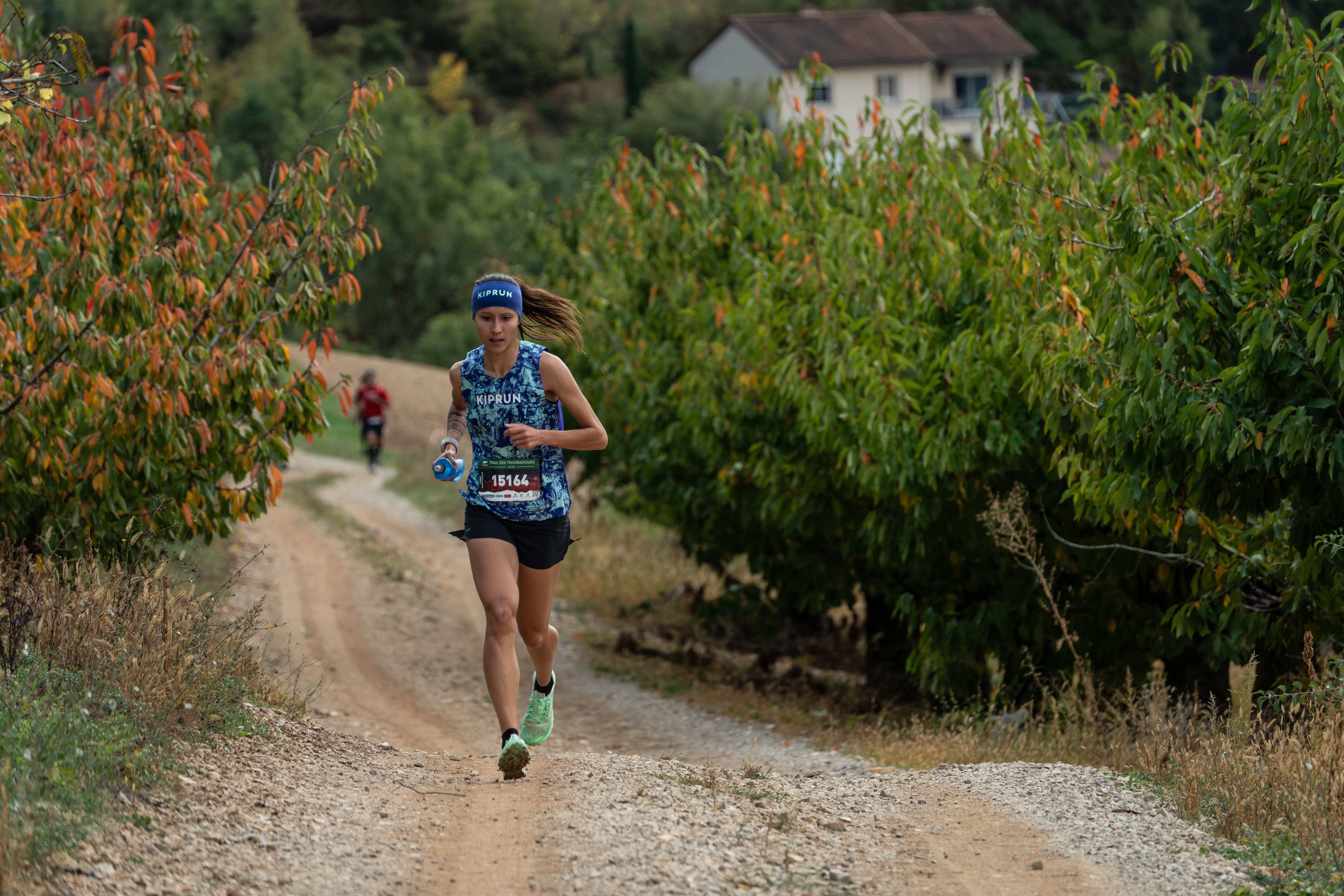 Festival des Templiers 2023