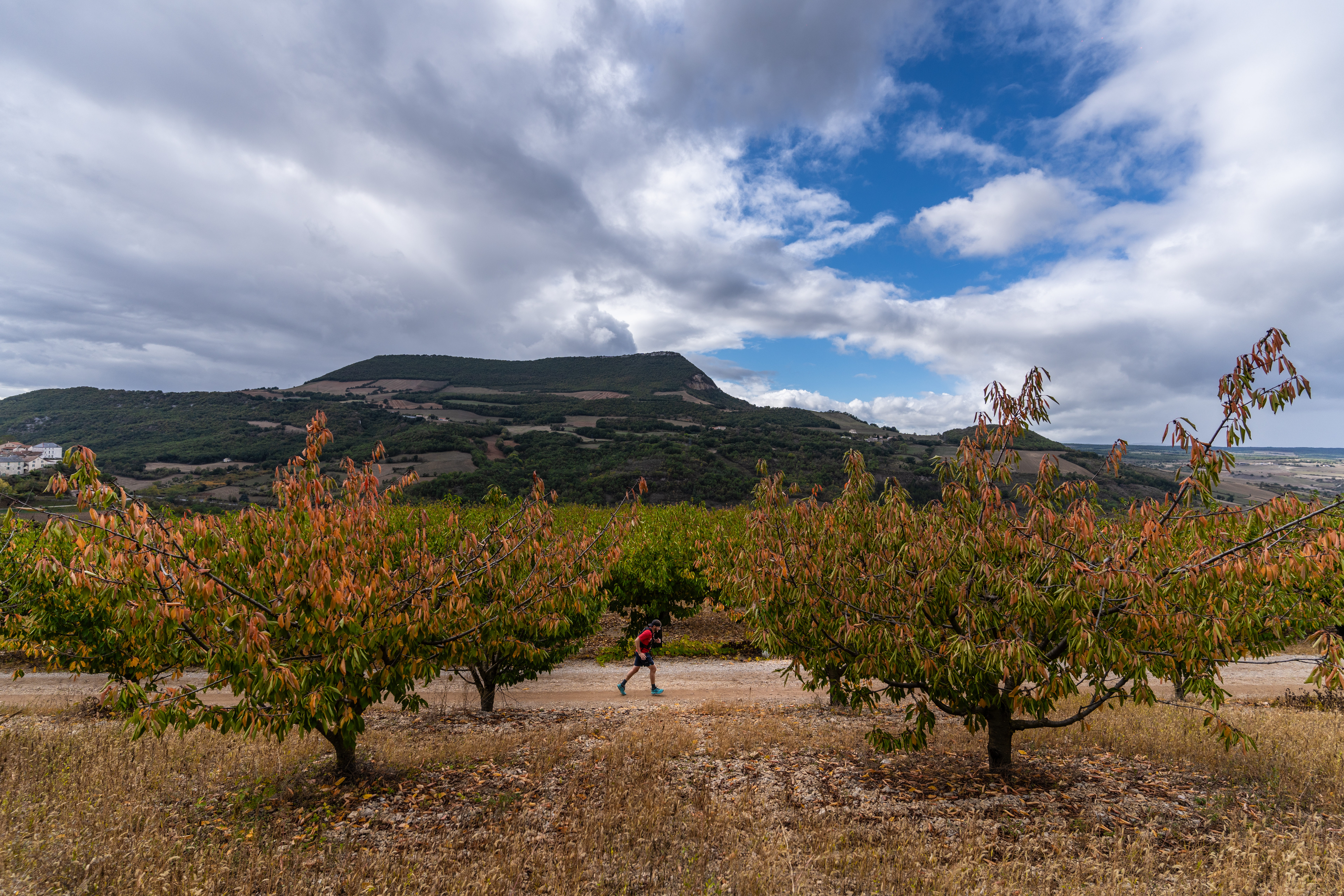 Festival des Templiers 2023