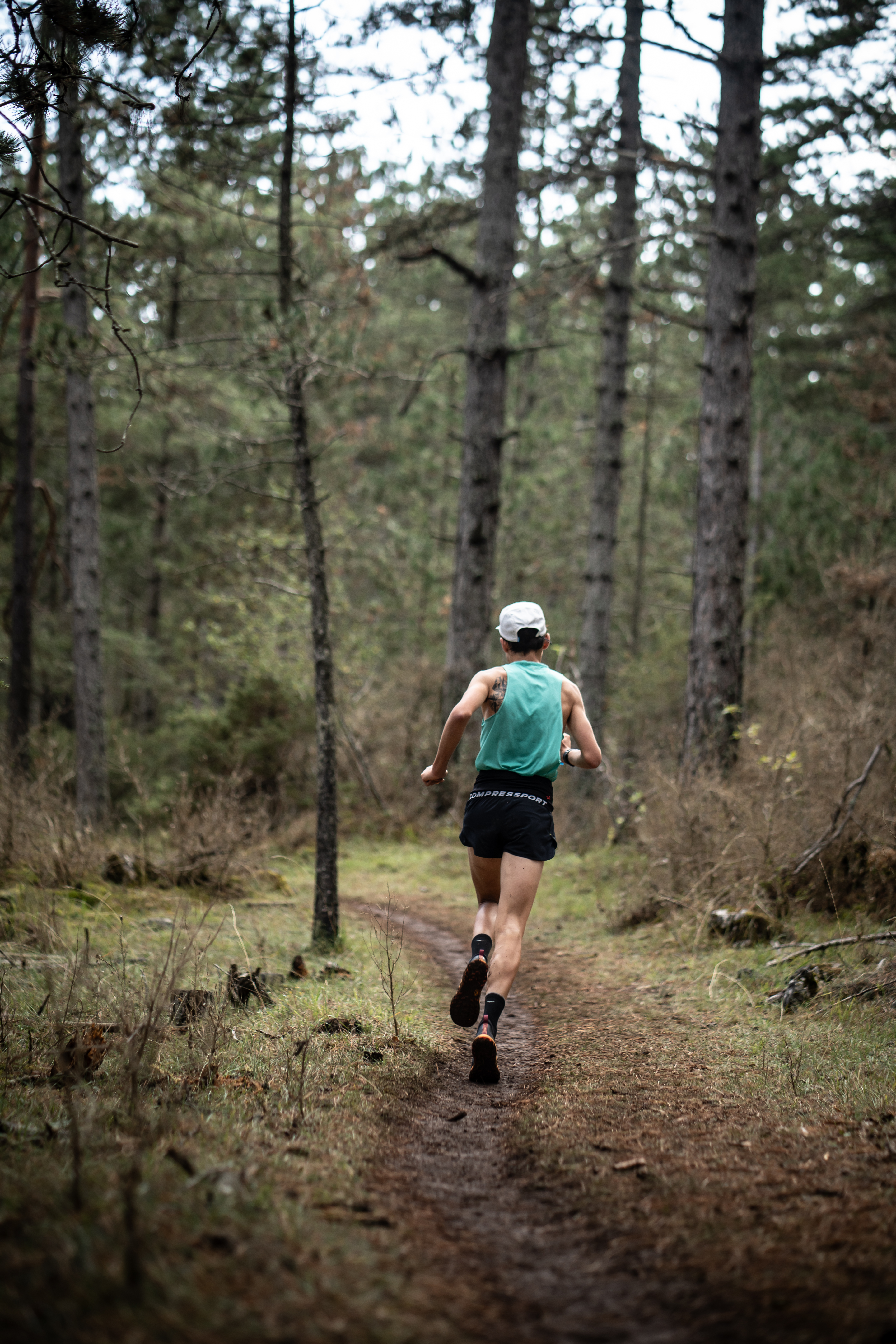 Festival des Templiers 2023