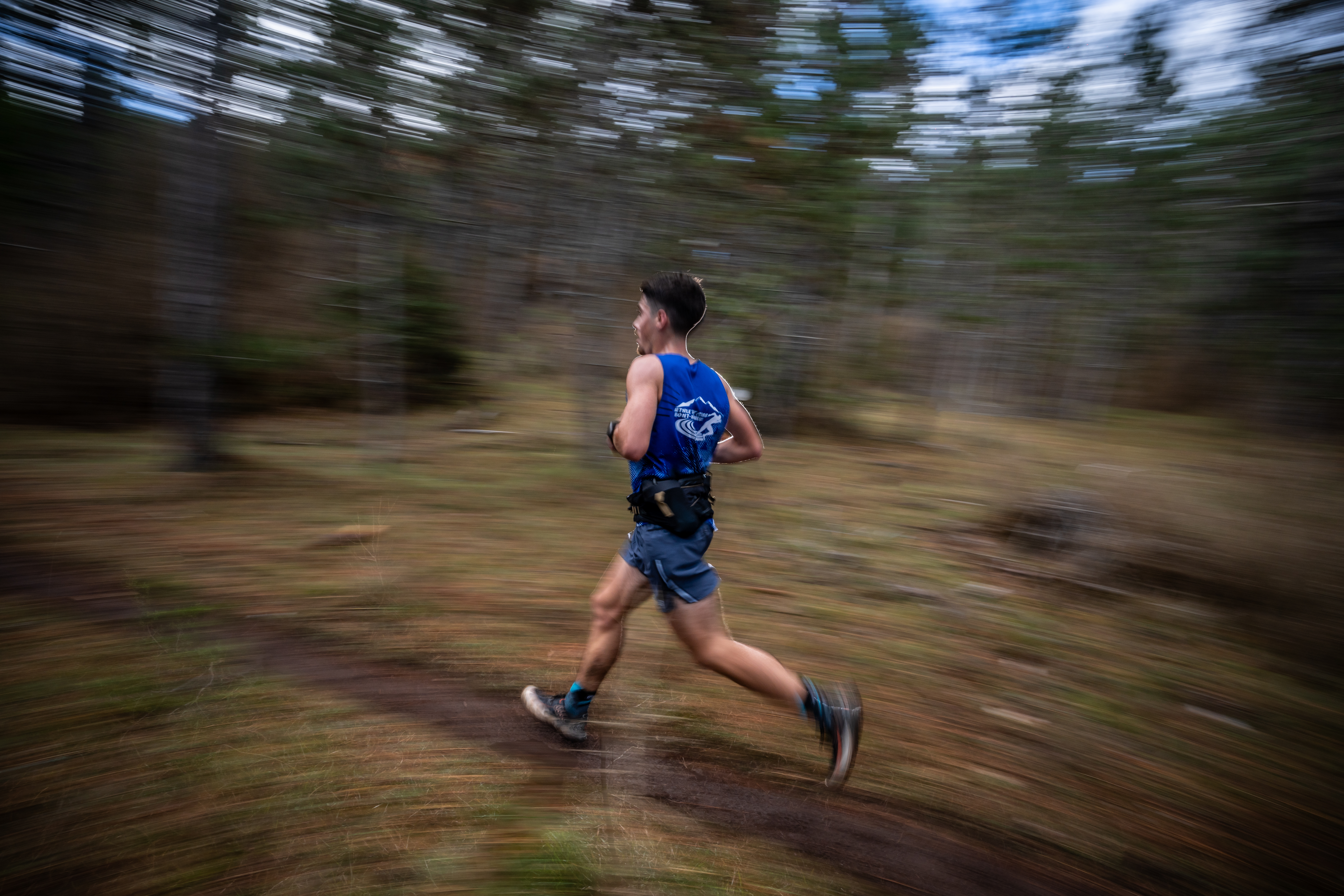 Festival des Templiers 2023