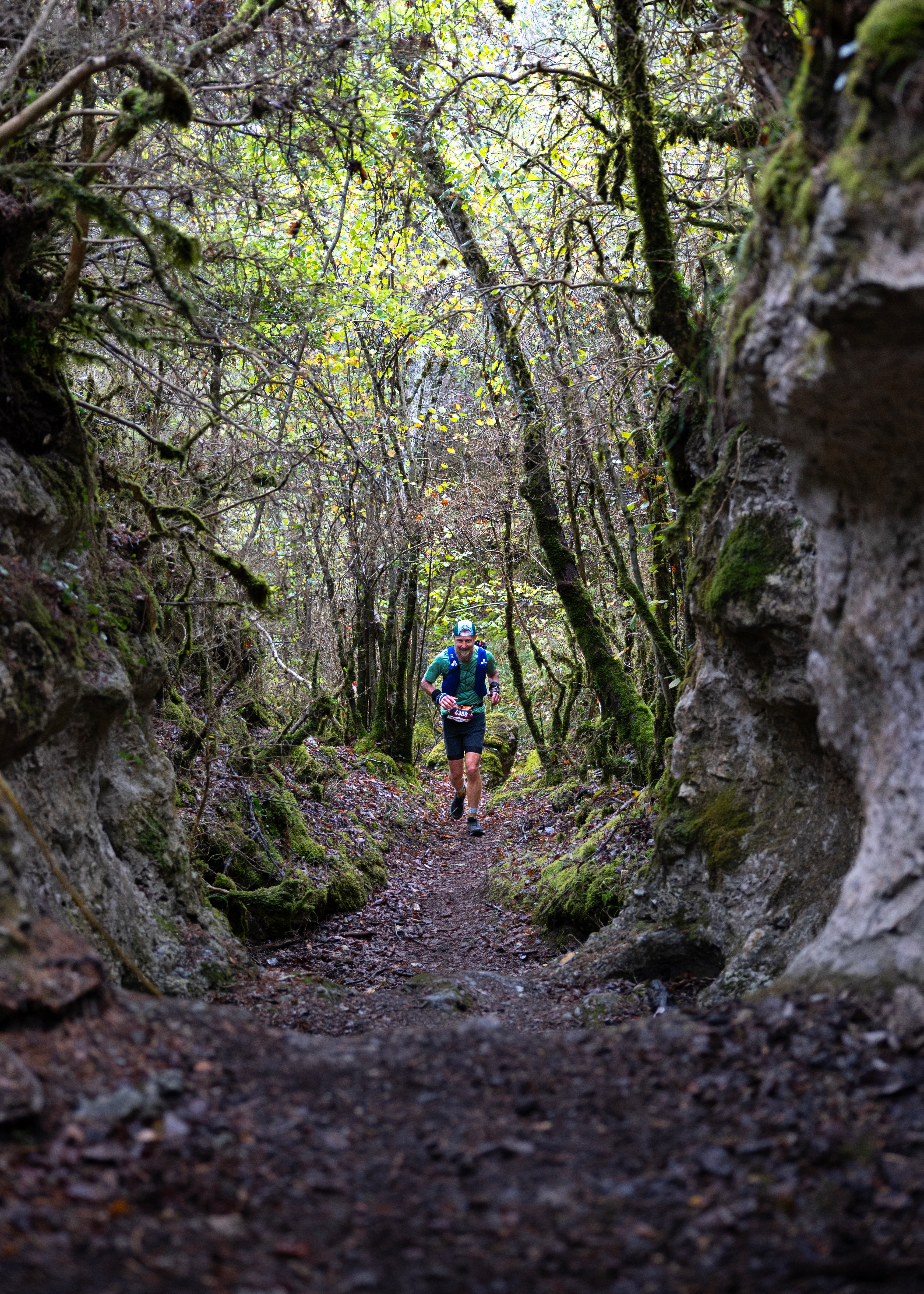 Festival des Templiers 2023