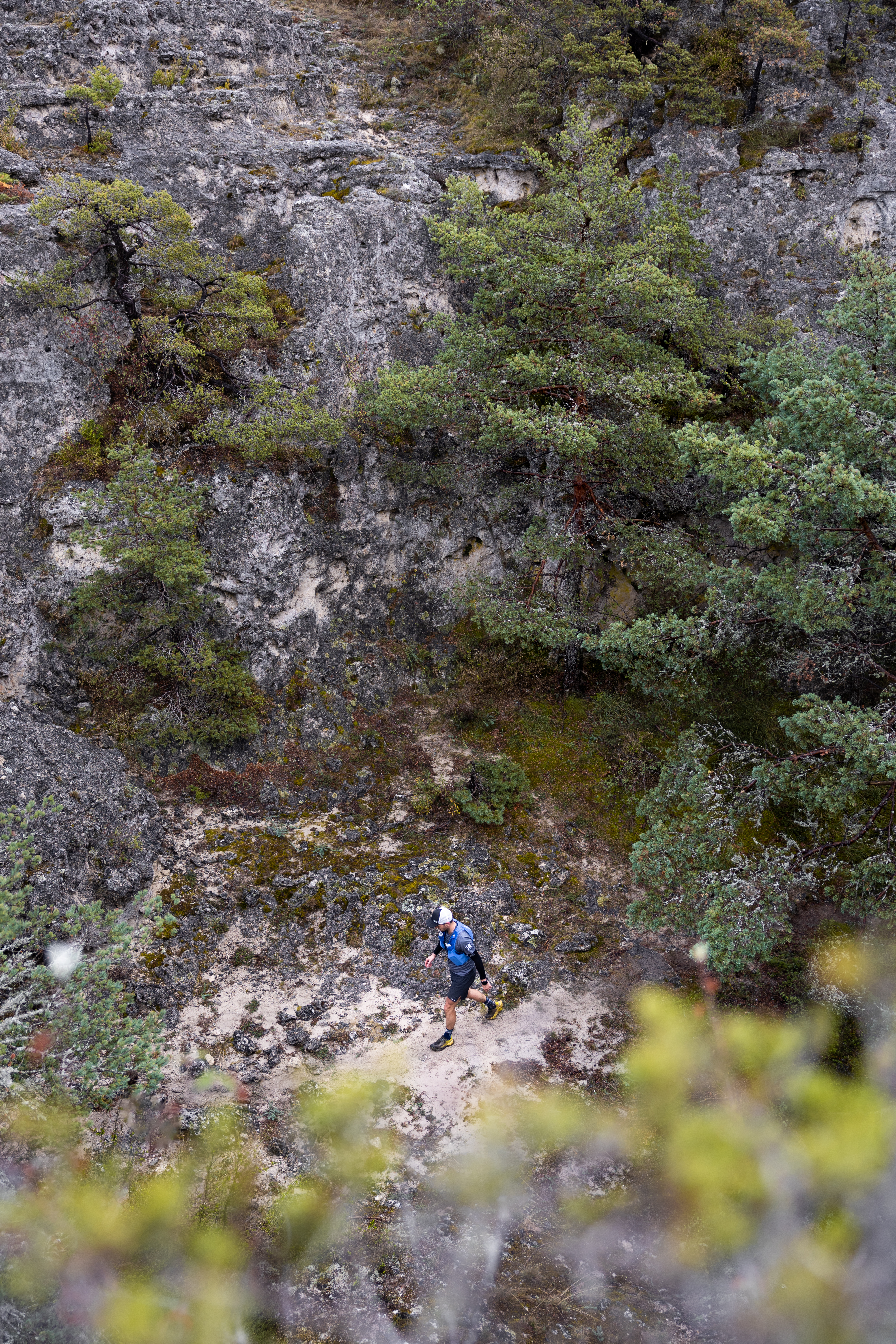 Festival des Templiers 2023