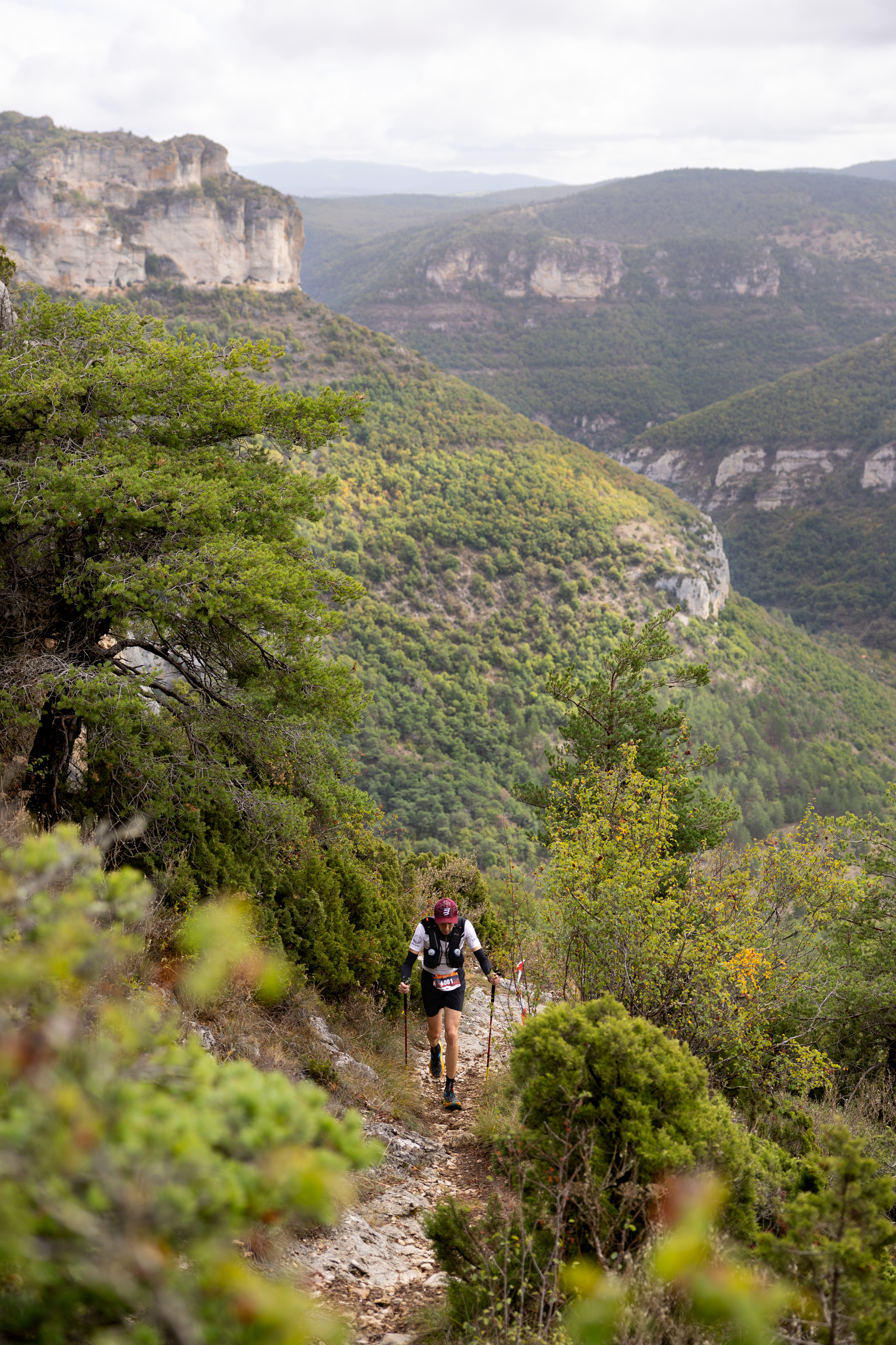 Festival des Templiers 2023