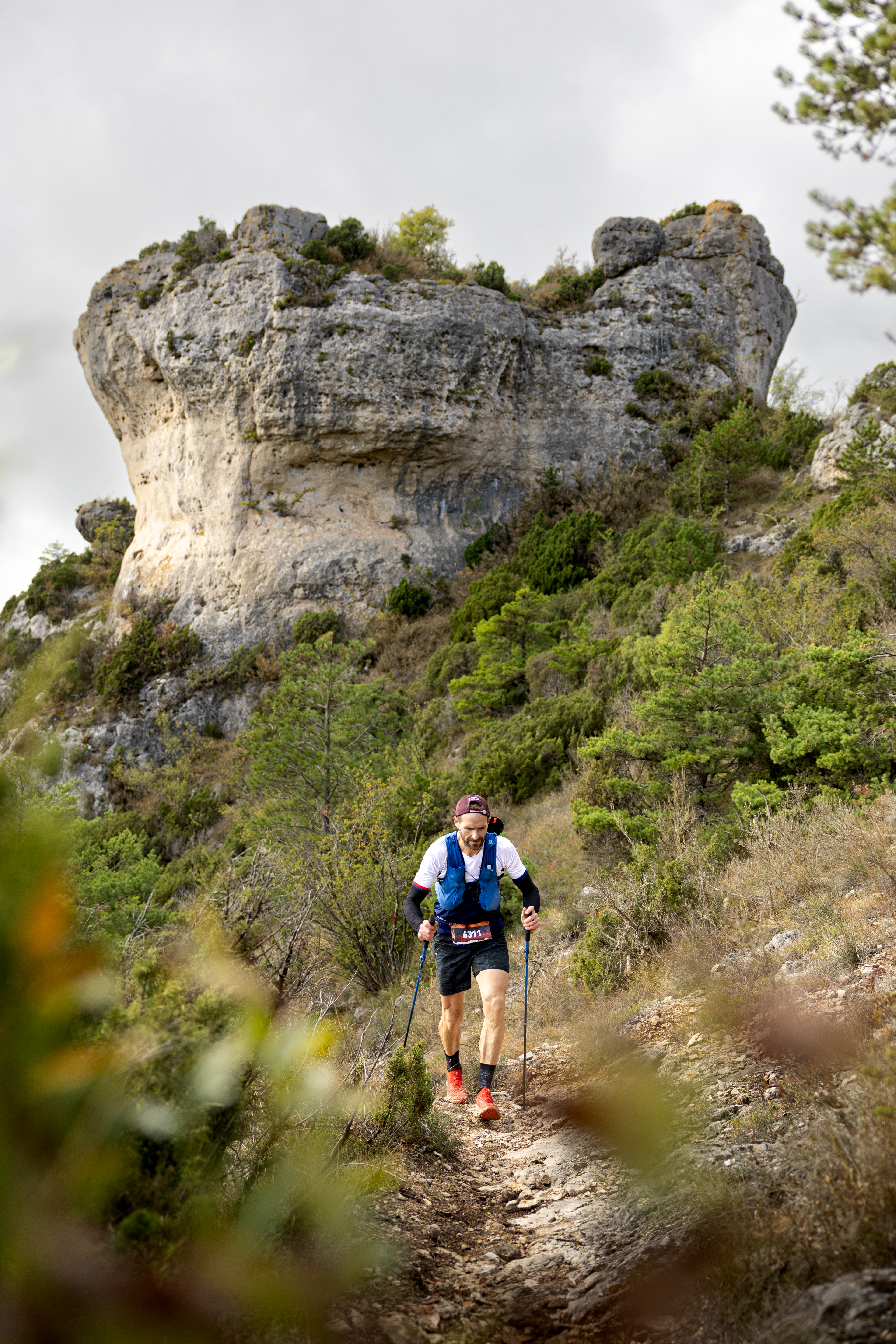 Festival des Templiers 2023