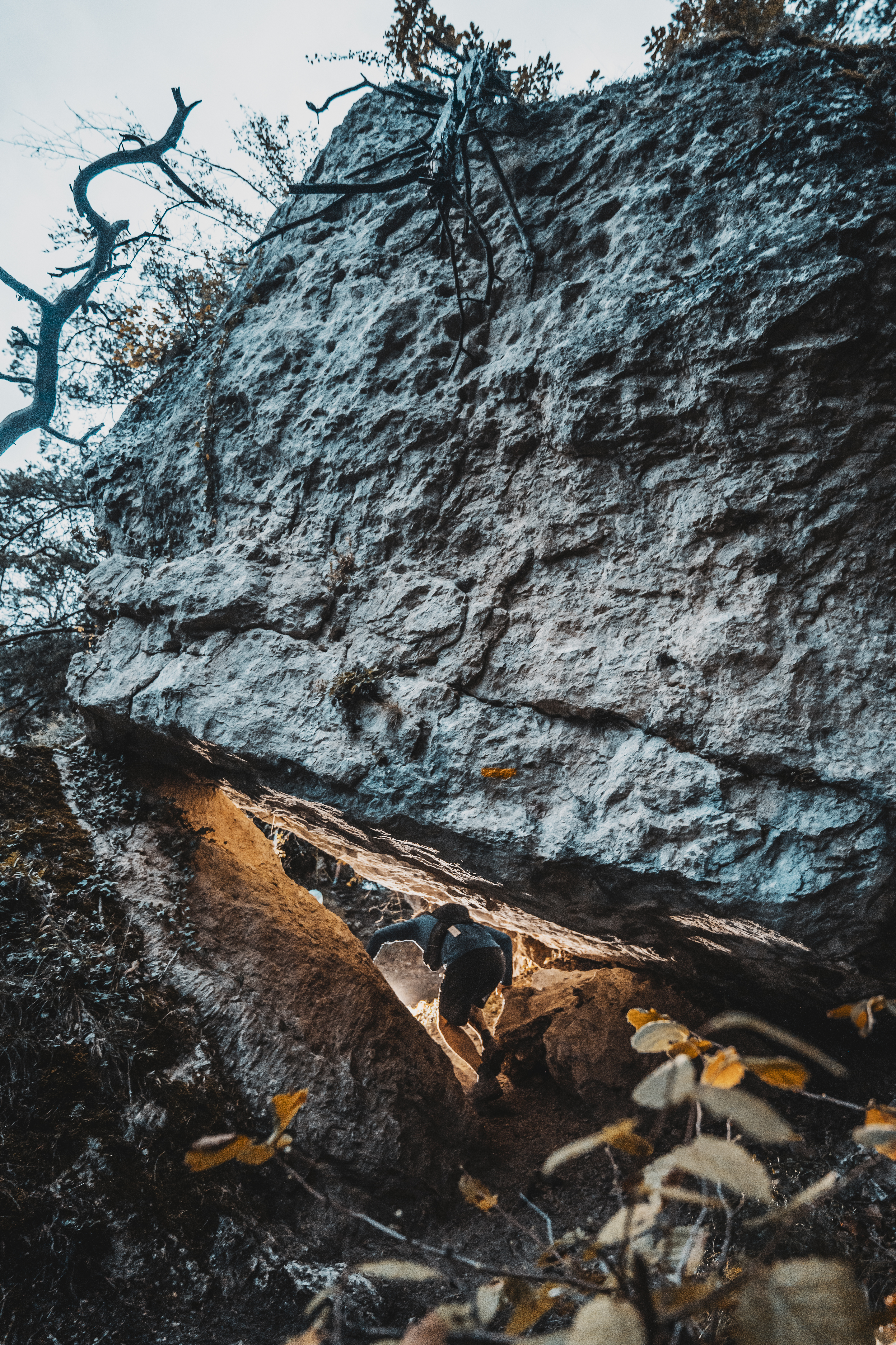 Festival des Templiers 2023