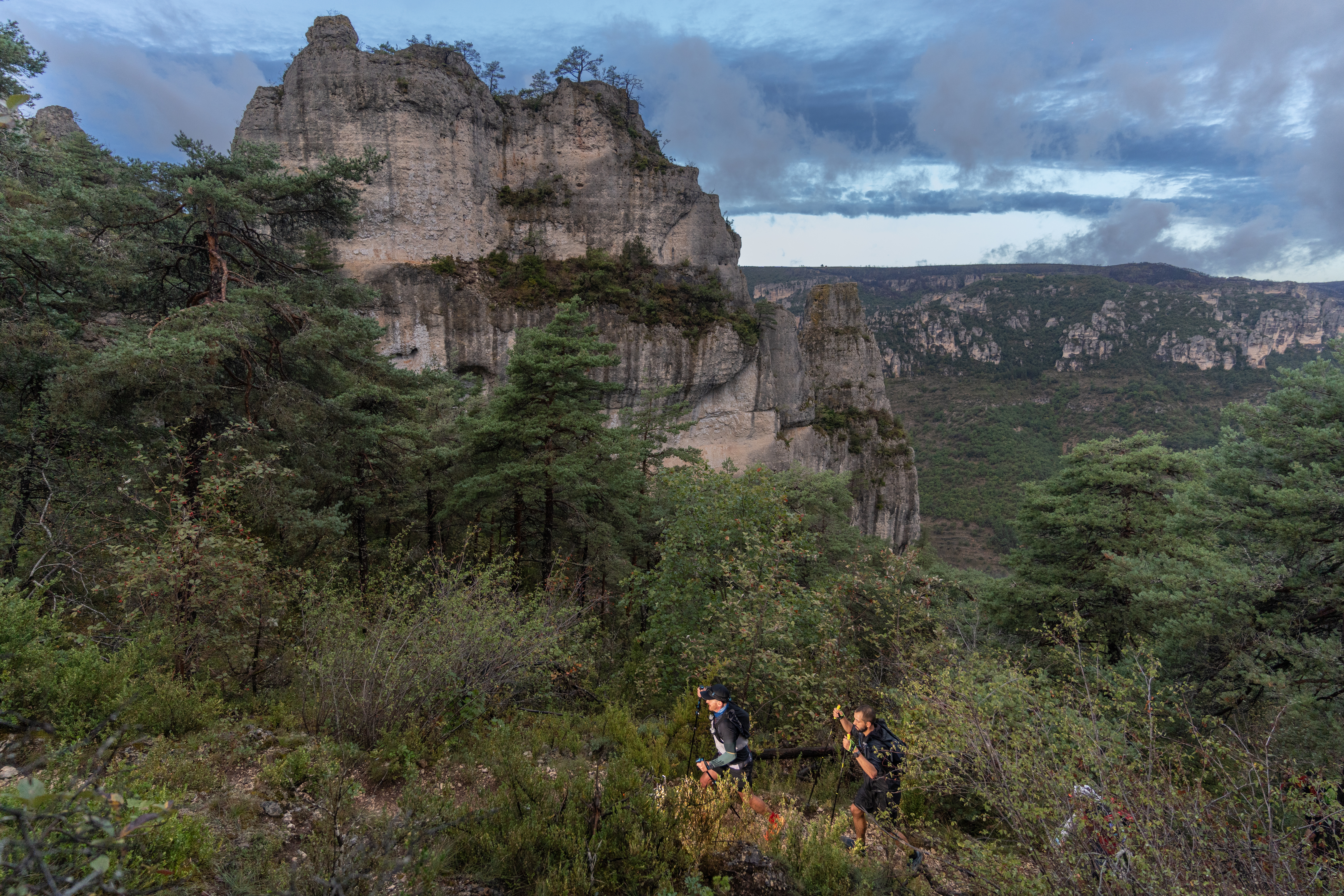 Festival des Templiers 2023