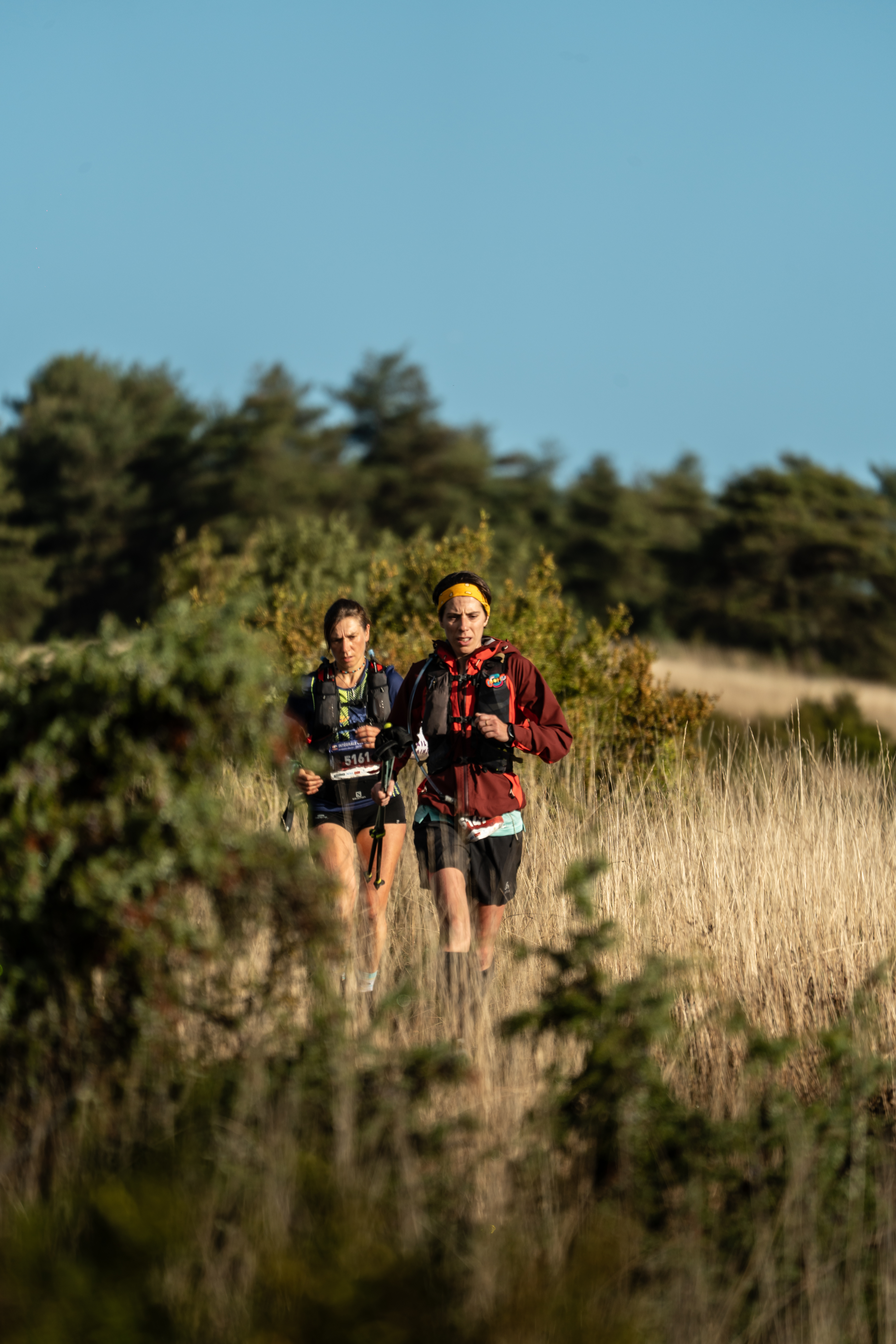 Festival des Templiers 2023