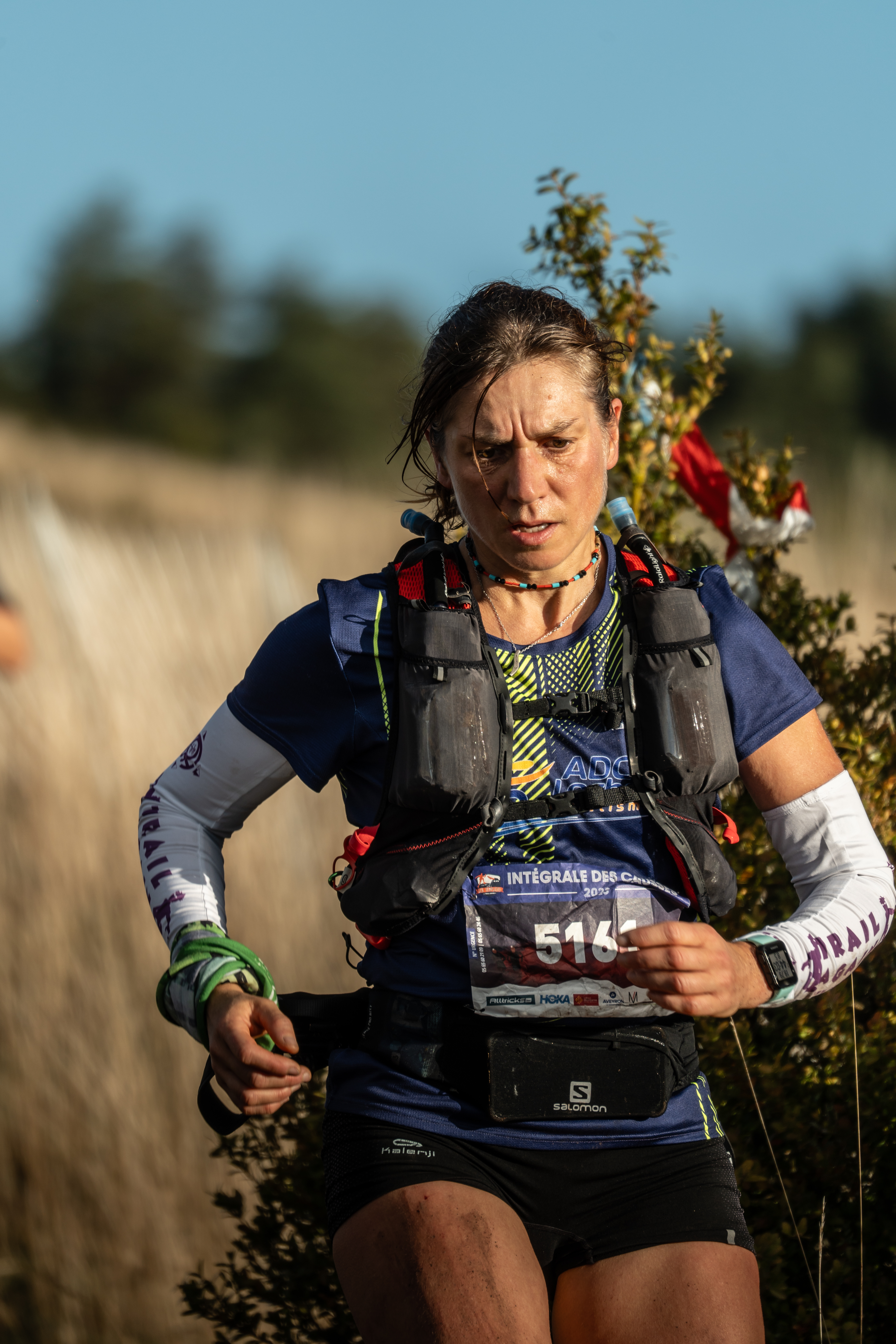 Festival des Templiers 2023