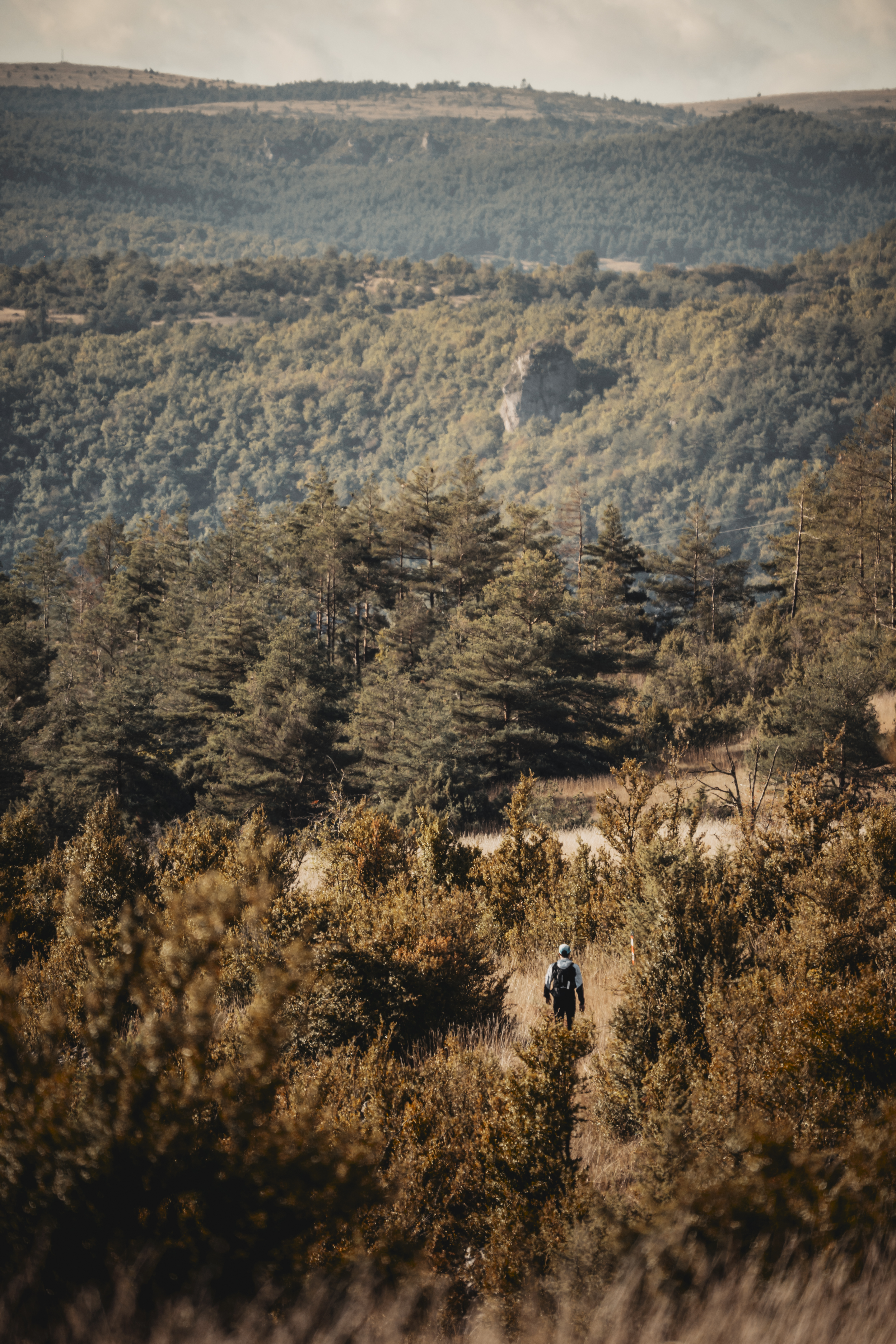 Festival des Templiers 2023