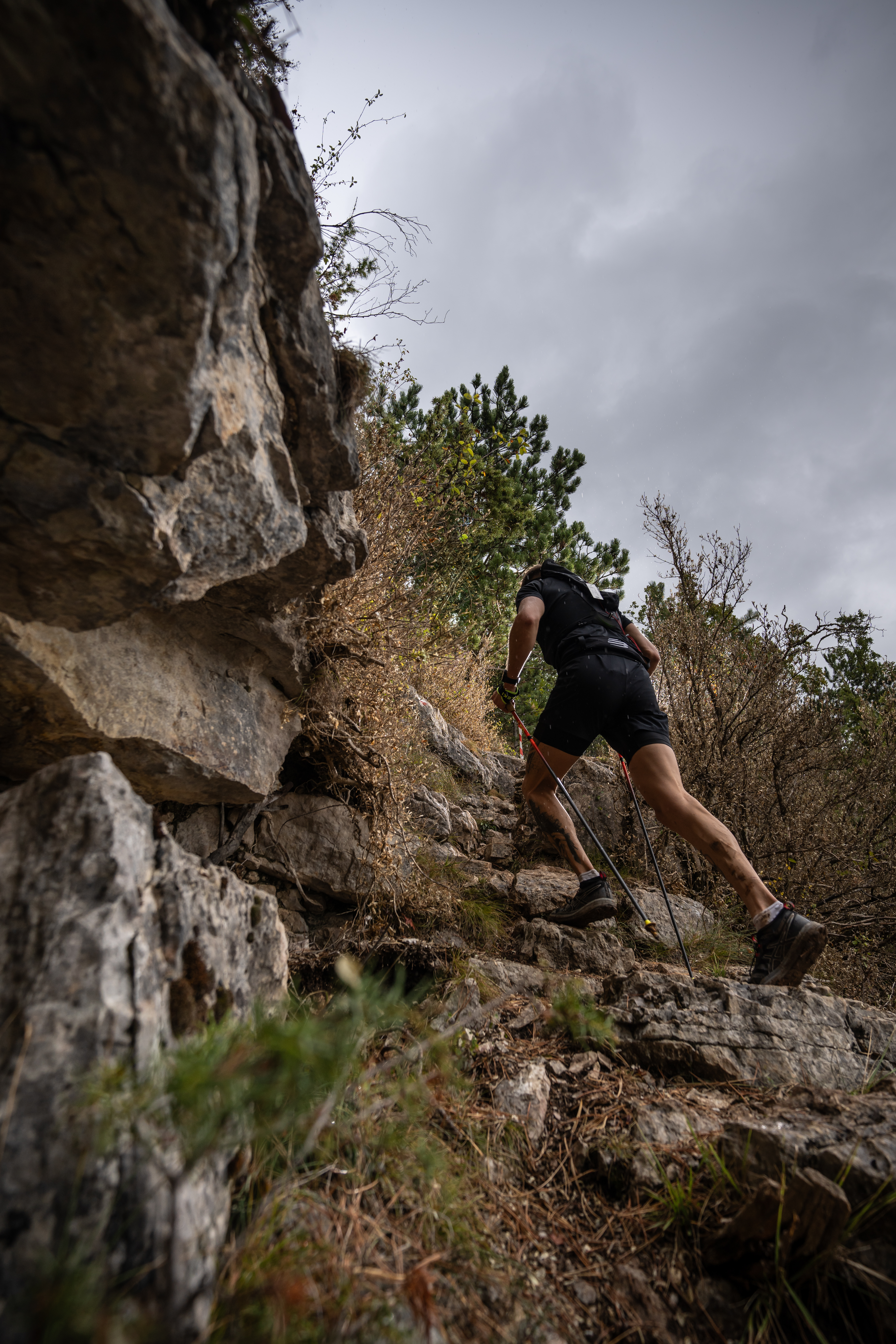 Festival des Templiers 2023