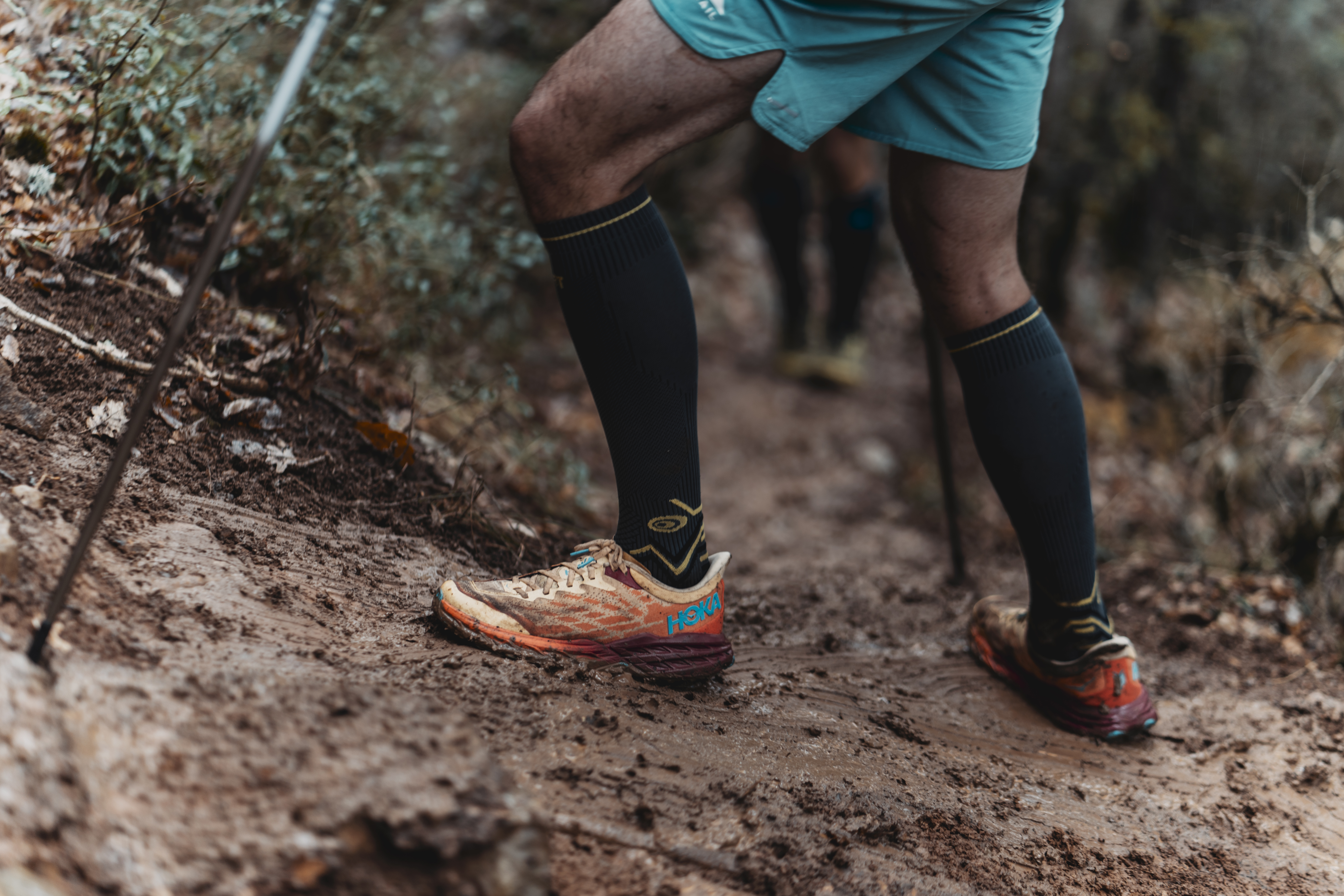 Festival des Templiers 2023