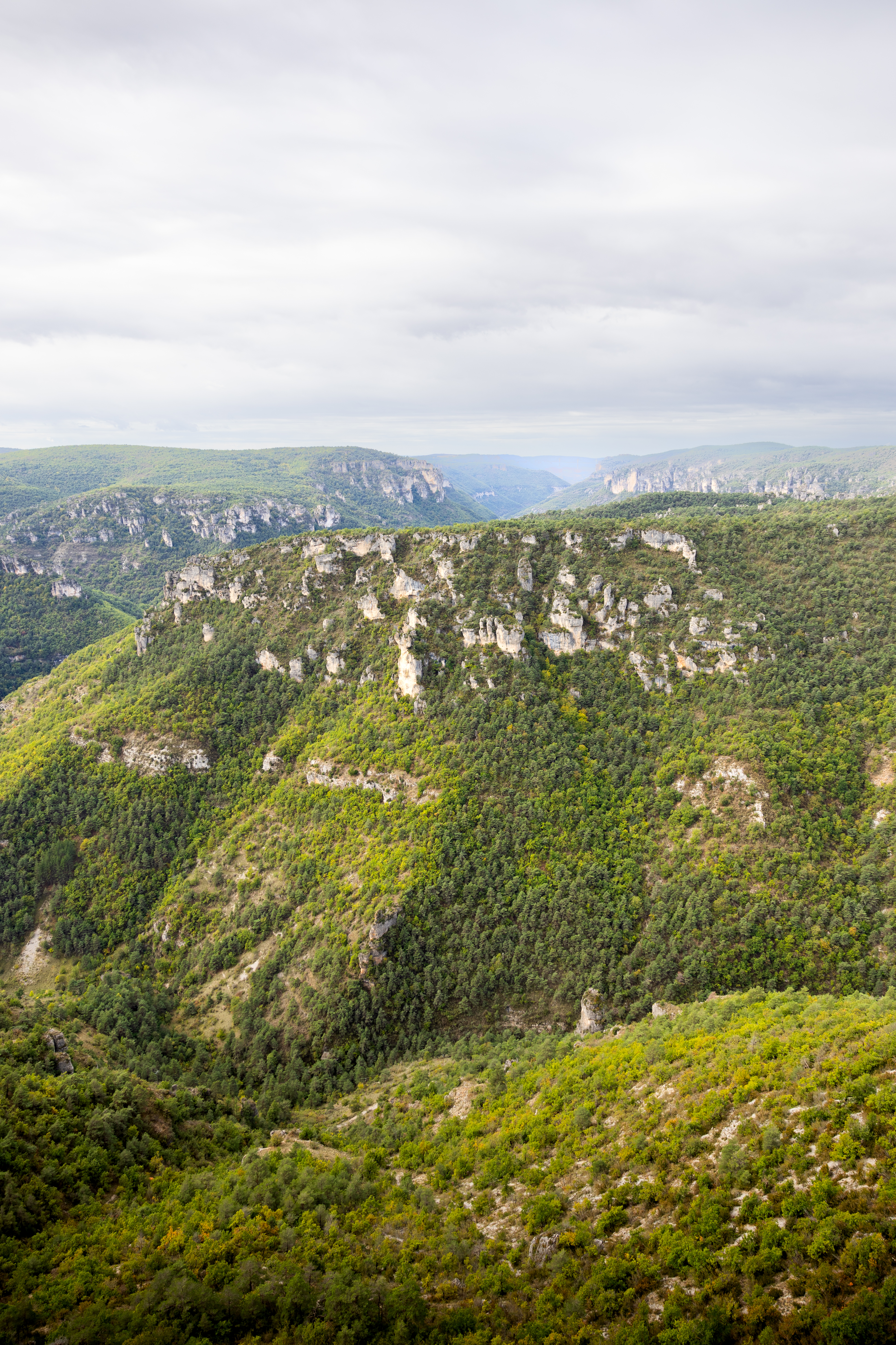 Festival des Templiers 2023