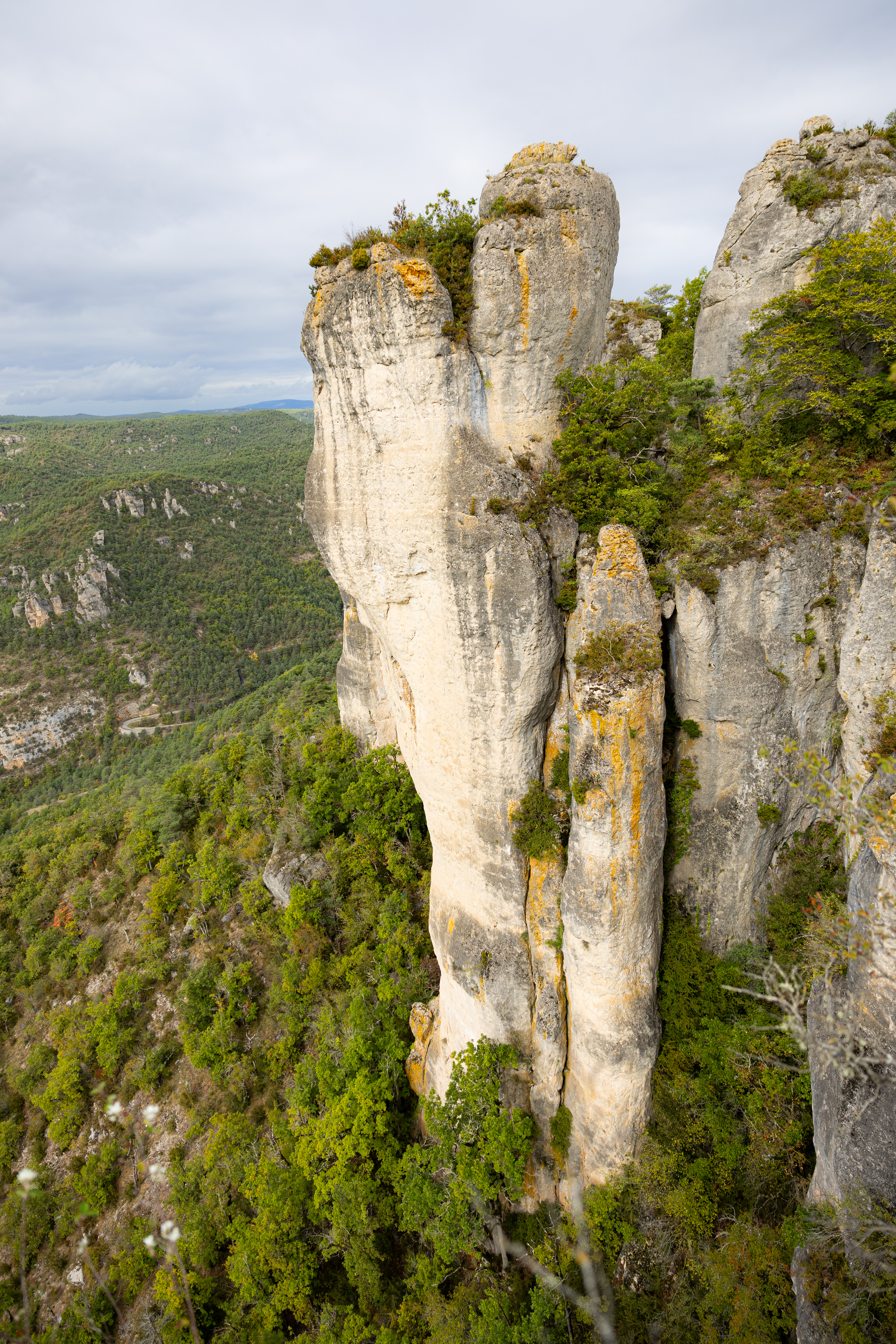 Festival des Templiers 2023