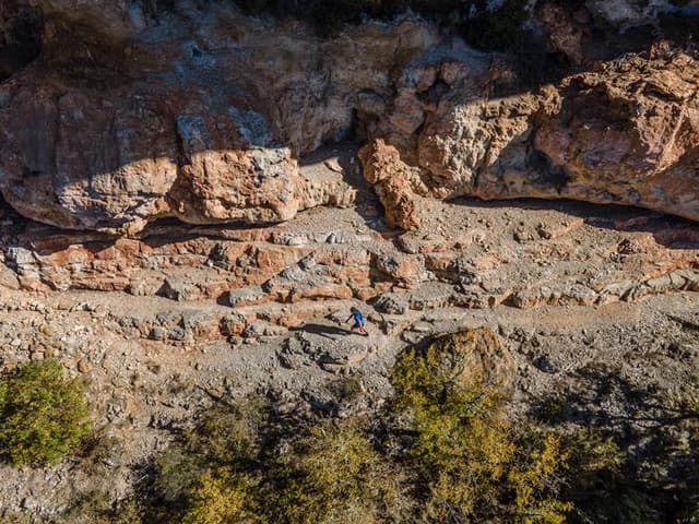 Festival des Templiers 2022