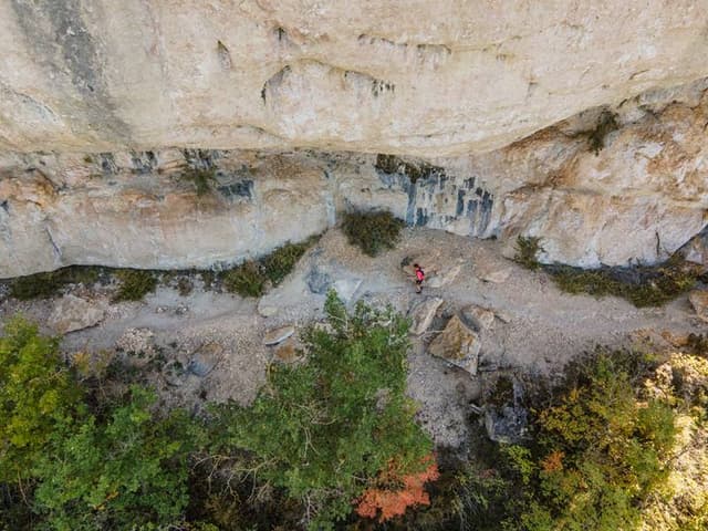 Festival des Templiers 2022