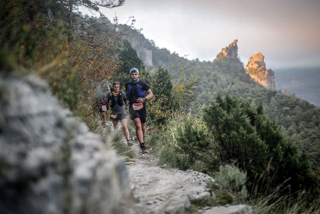 Festival des Templiers 2025