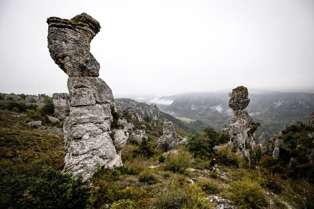 Festival des Templiers 2025