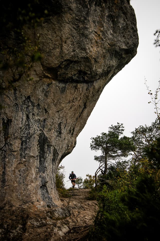 Festival des Templiers 2025