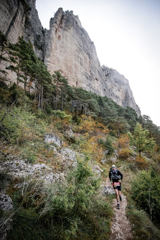 Festival des Templiers 2025