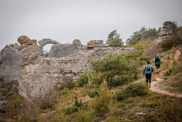 Festival des Templiers 2025