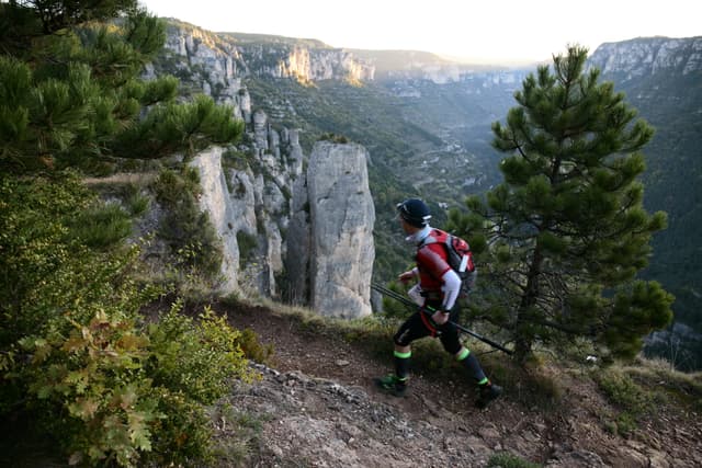 Festival des Templiers 2014