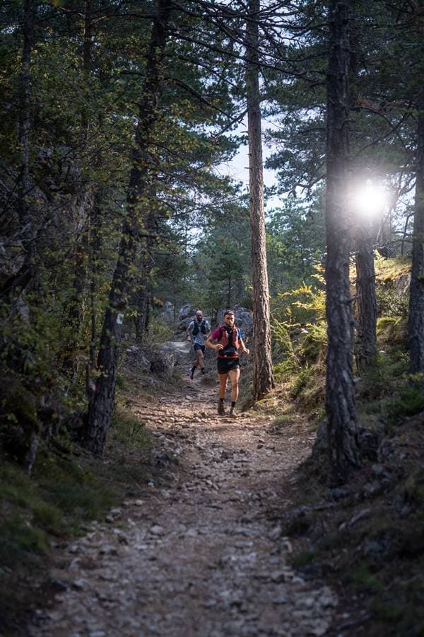 Festival des Templiers 2022