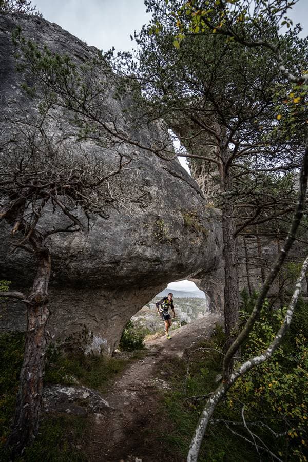 Festival des Templiers 2022