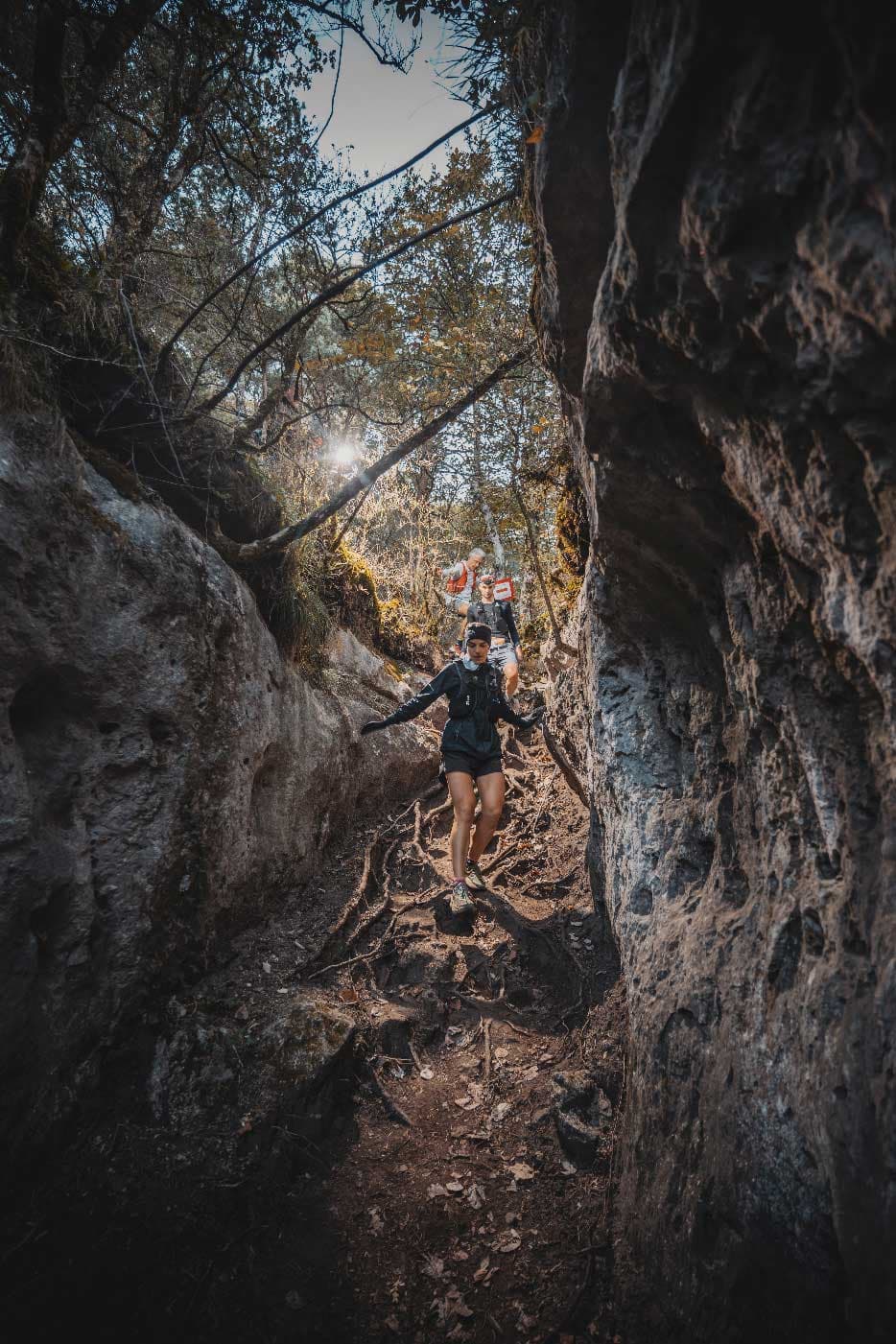 Festival des Templiers 2023