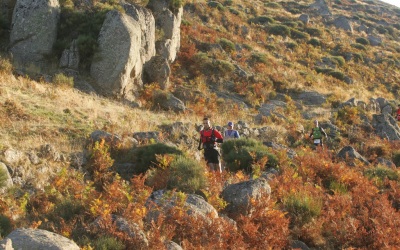 2008 Templiers 6 a