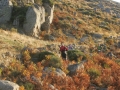 2008 Templiers 6 a