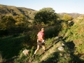 2008 Templiers 7 a