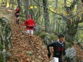 2008 Templiers 8 a