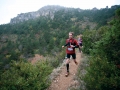 templiers11