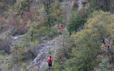 Paysage des Causses