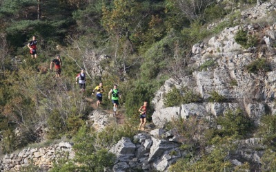 Paysage des Causses