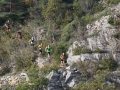 Paysage des Causses