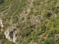 Vue d'hélicoptère des causses  et des Templiers