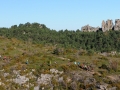 Les falaises du Rajol et Roquesaltes