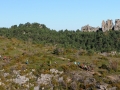 Les falaises du Rajol et Roquesaltes