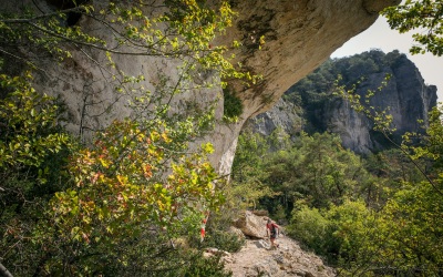 ©Cyrille-Quintard-templier-vendredi-2018-4529