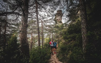 ©cyrille-quintard-millau-vendredi-2019-8131