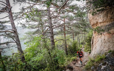 ©cyrille-quintard-millau-vendredi-2019-8269