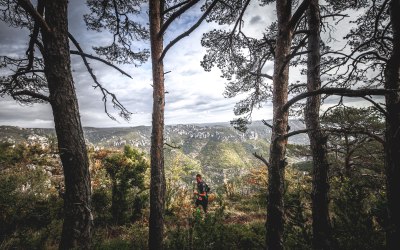 ©cyrille-quintard-millau-vendredi-2019-8310