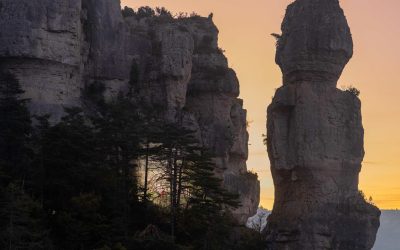 GregAlric-1-1-scaled