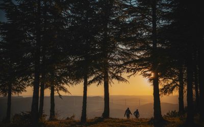 GregAlric-7400034-1-scaled