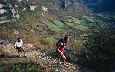 1996 templiers cevennes18