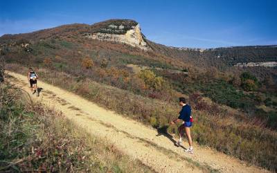 1996 templiers cevennes3