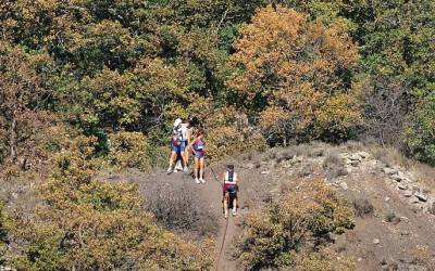 1997 templiers cevennes17